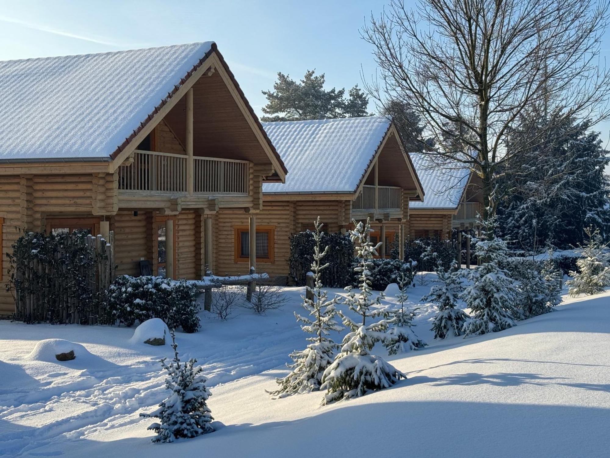 Boomstamhuis High Chaparral Holiday park *
